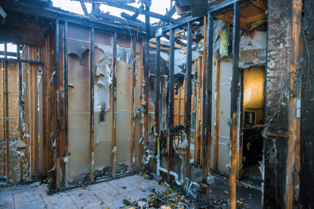 Professional Fire Damage Removal technician working in Pelahatchie, MS